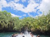 Kikuletwa Hotspring Tour  — photo 2