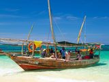 Nakupenda sandbank tour  — photo 4