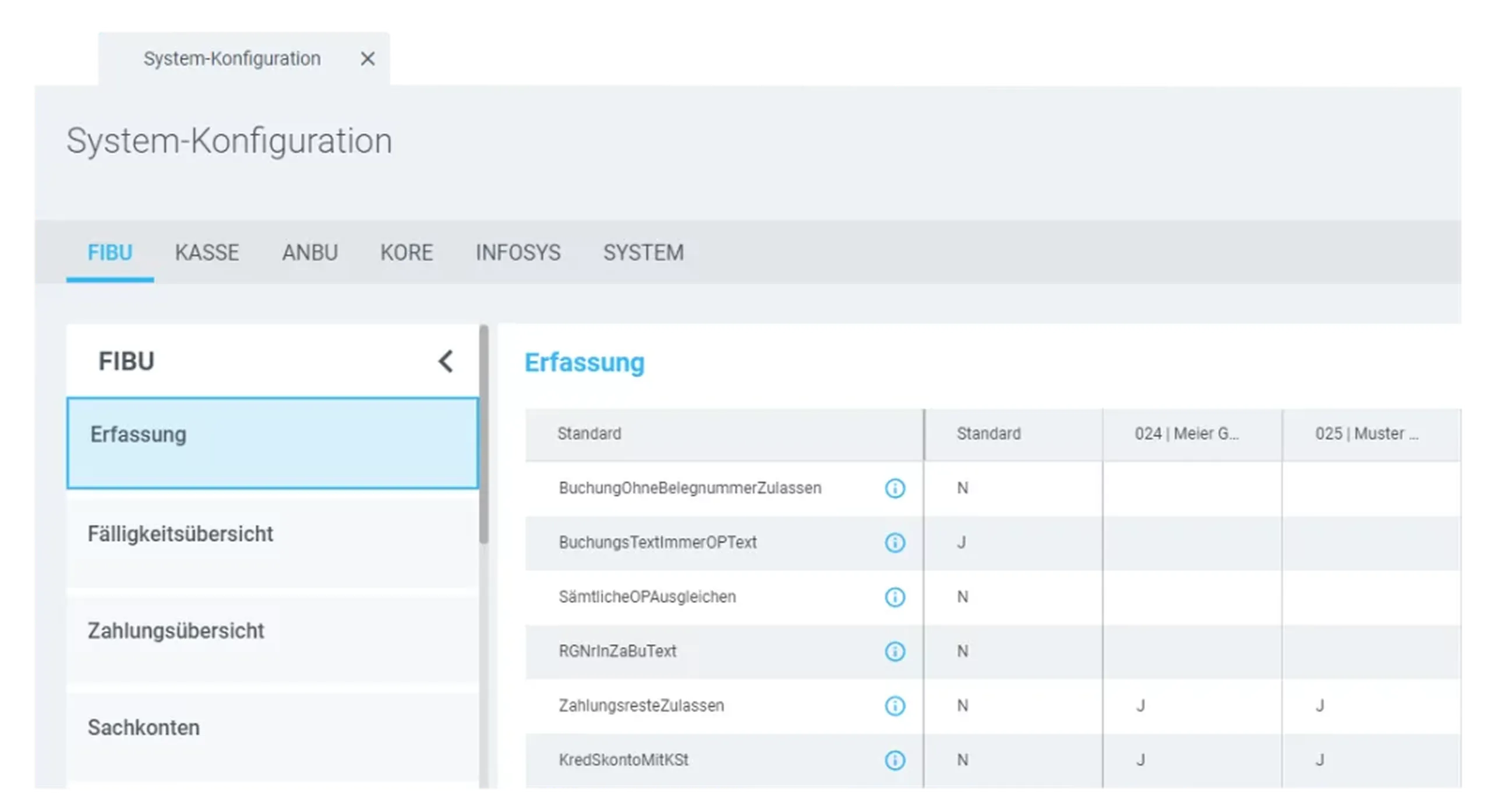 Systemkonfiguration der Buchhaltungssoftware mit FIBU-Einstellungen