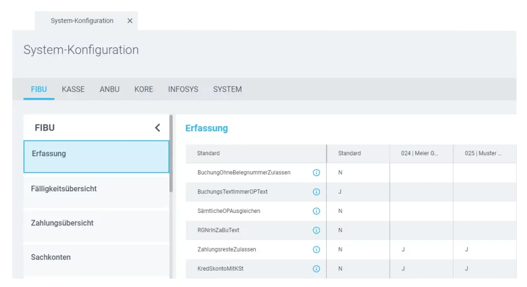 Systemkonfiguration der Buchhaltungssoftware mit FIBU-Einstellungen