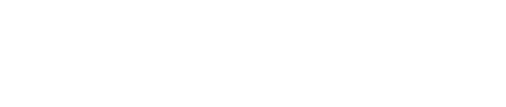 RIS Kashflow logo