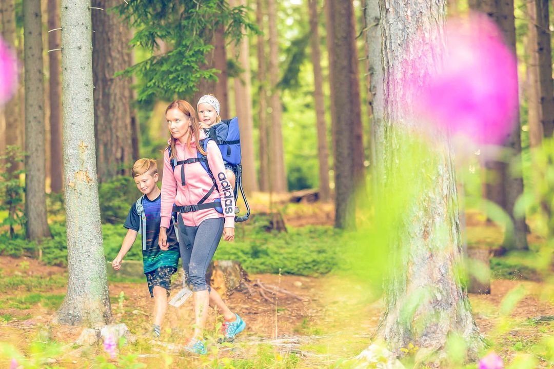 Mutter, Kinder, Wandern, Wald