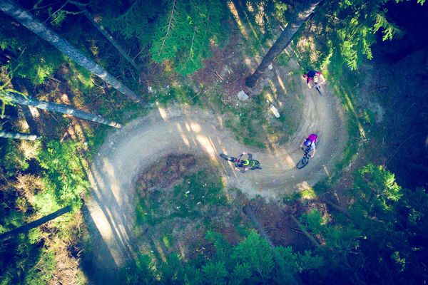 Wald, Trail, Radfahrer
