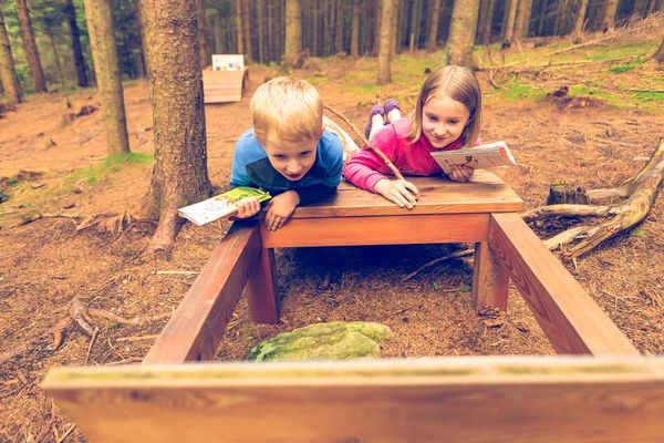 Kinder, Wald, Ameisenhügel, Spaß