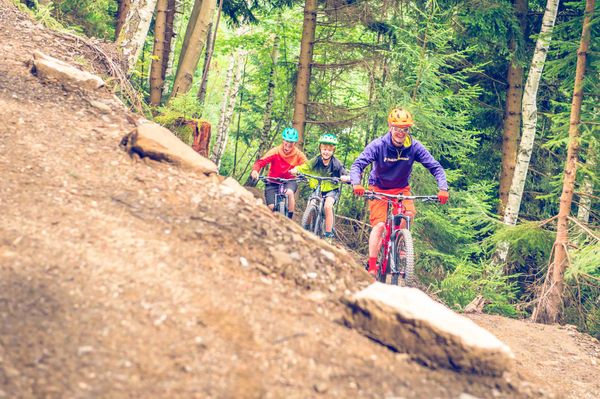 Radfahrer, Wald, Steine