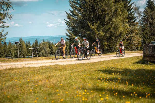 Mountainbiken beim Teamausflug