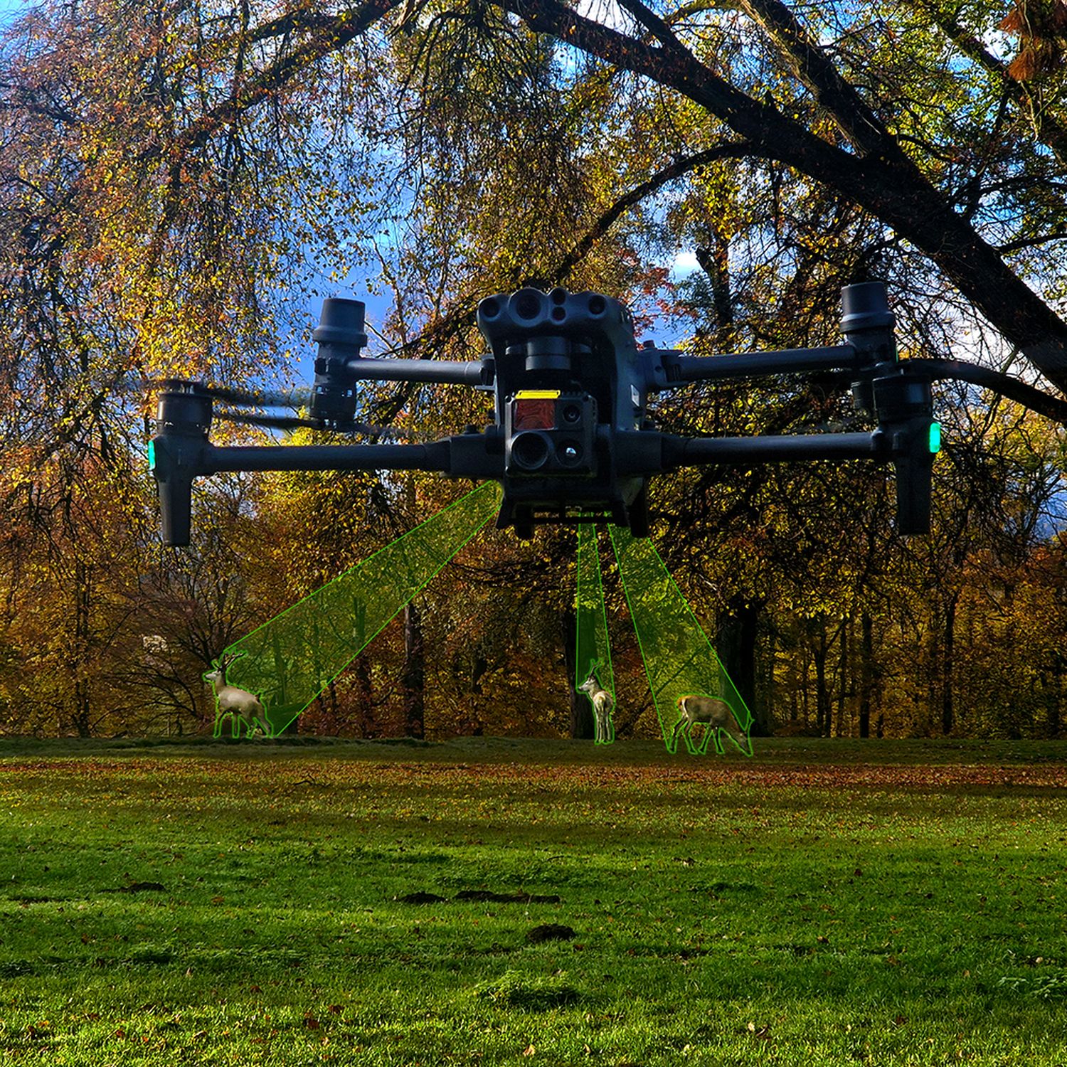 Der Einsatz von Drohnen mit Lichtfeldtechnologie soll das Wildtier-Monitoring präzisieren.