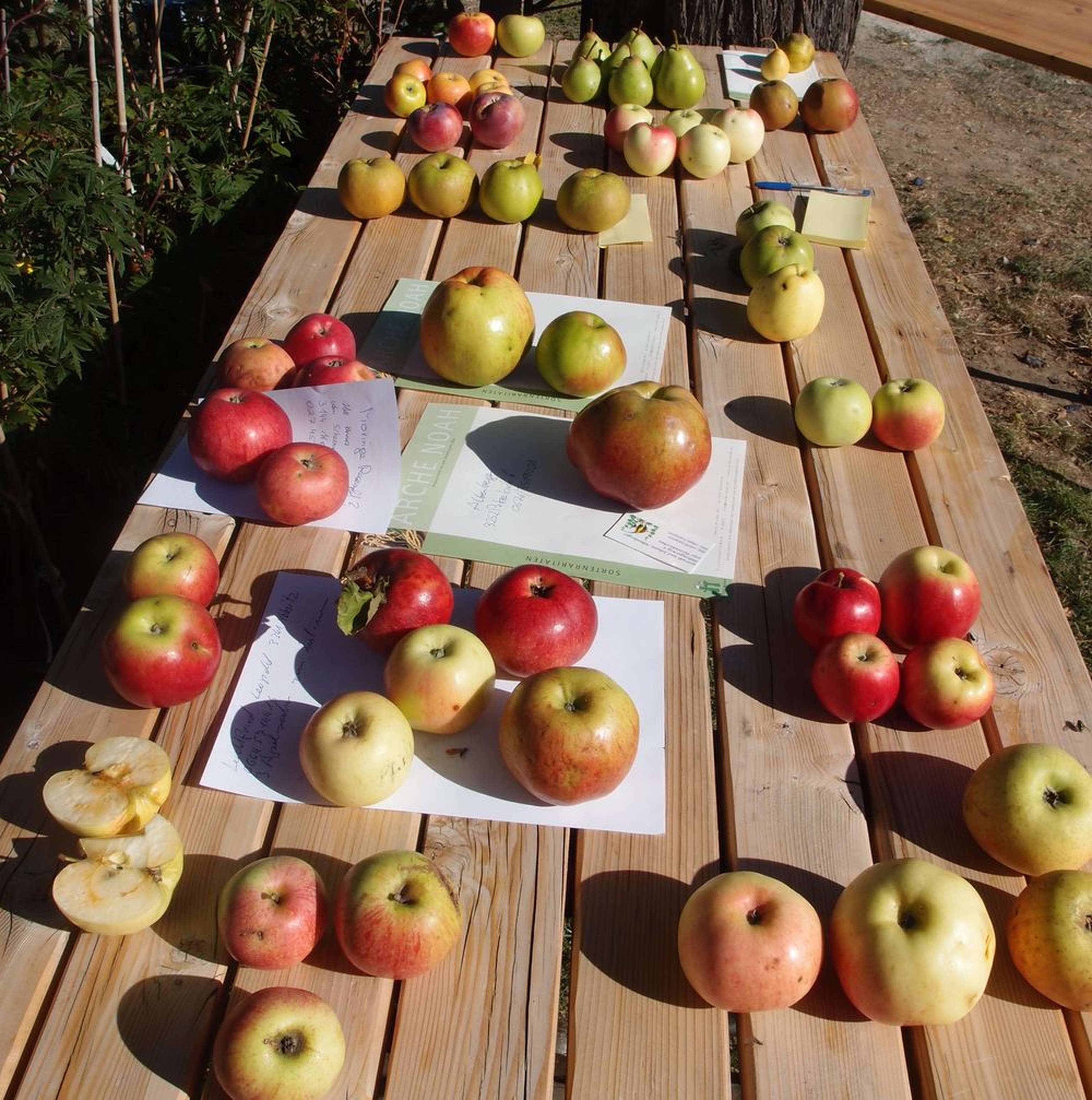 W Streuobst ArcheNoah