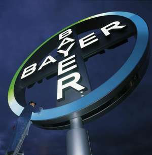 Bayer Cross 1 Web
