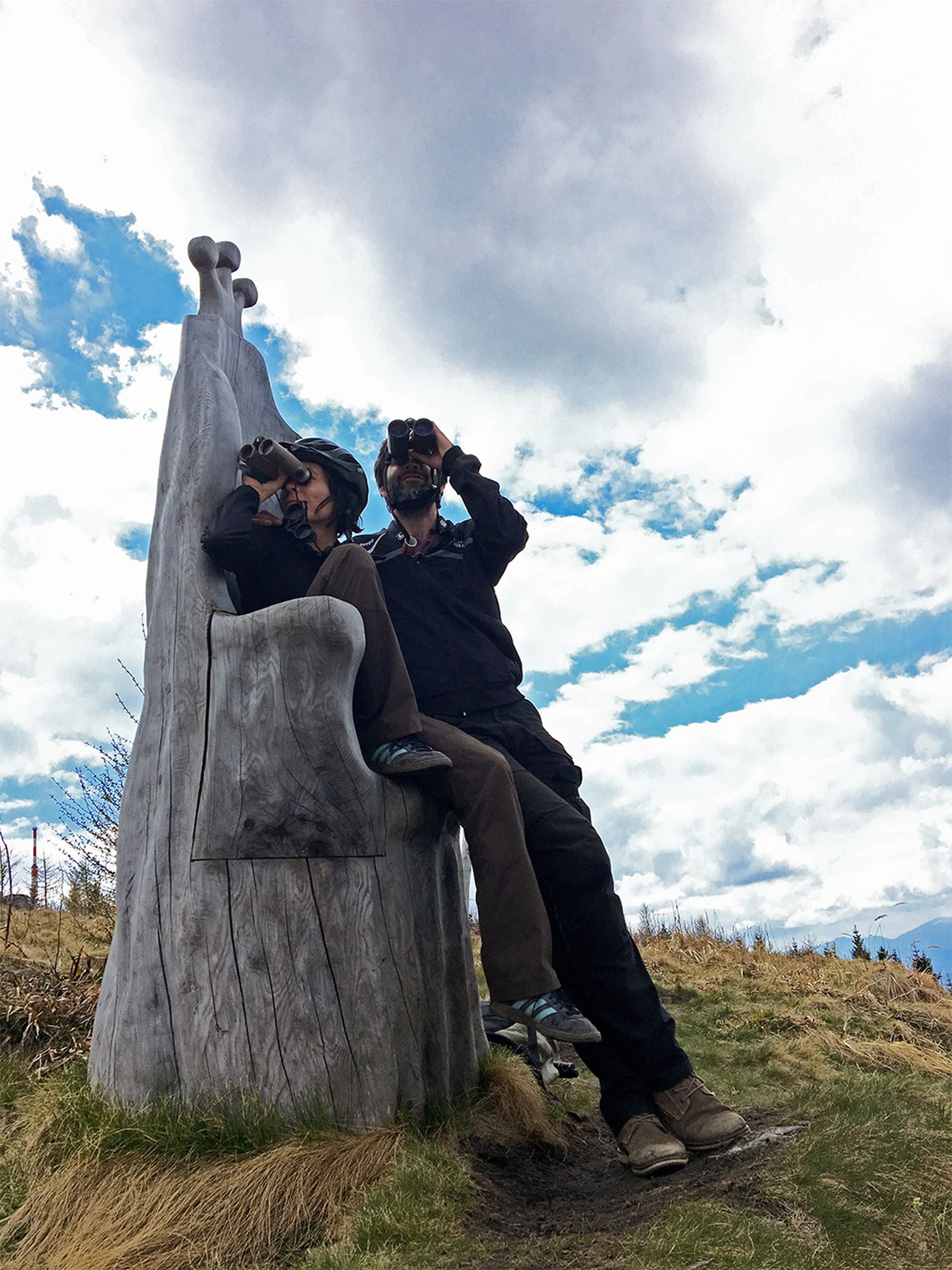 In-den-Bergen-Natur-aktuell-birders-BirdRace-2018.jpg