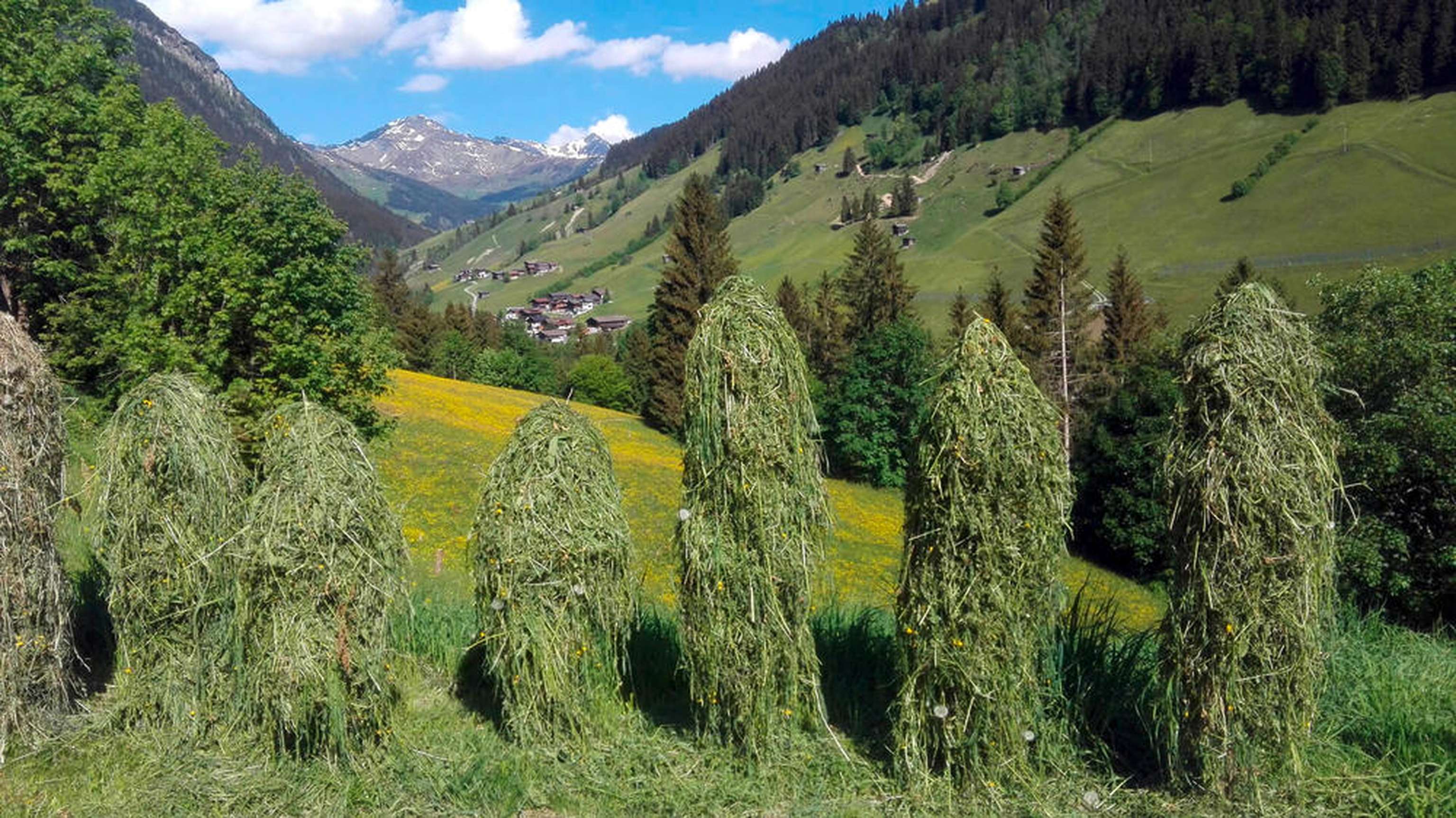 W Heumilch Heu Heumandl