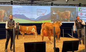 2248 W Eurotier Der Beste Toechter