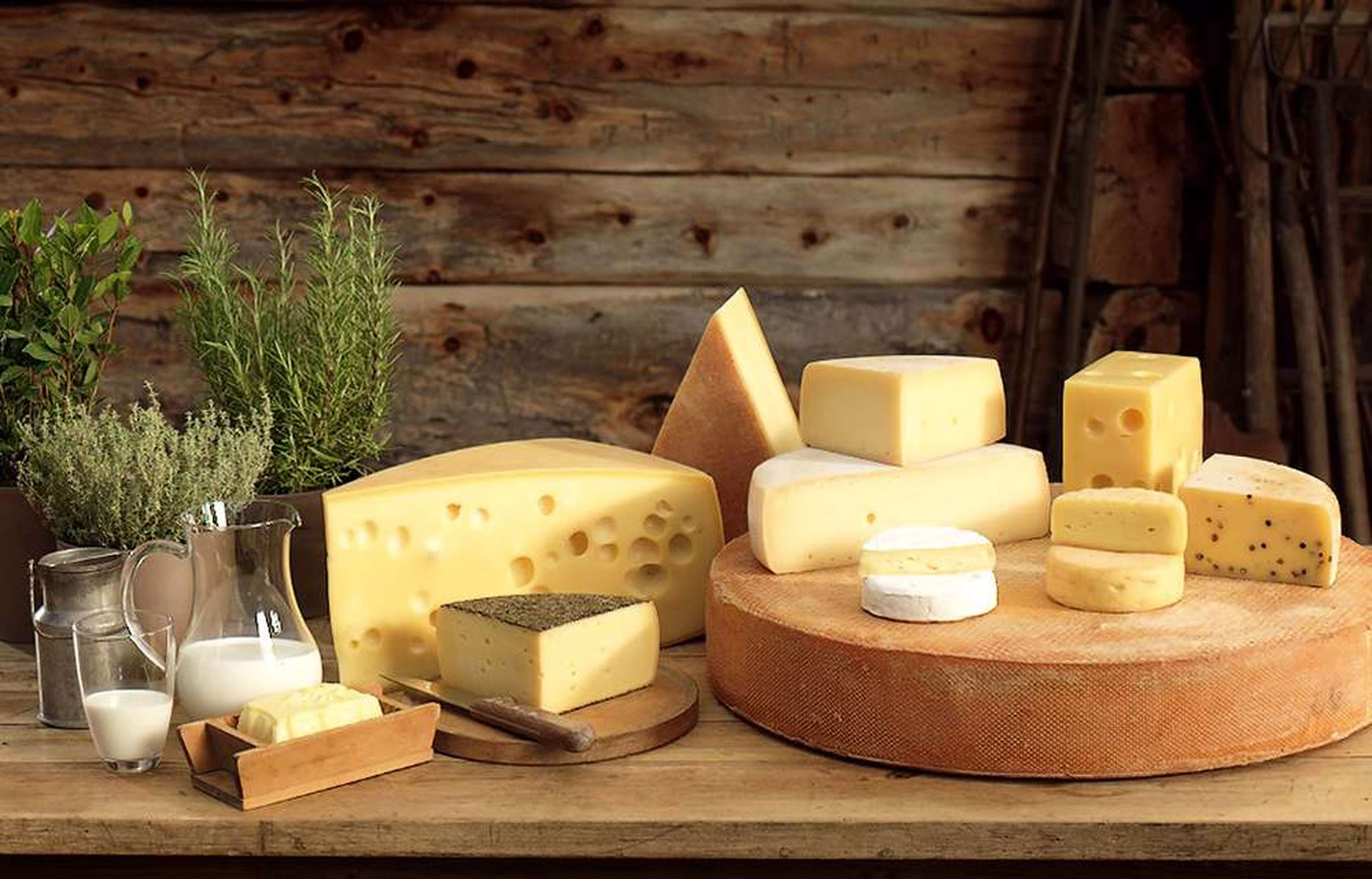 Ww220525 Kasermandl Arge Heumilch