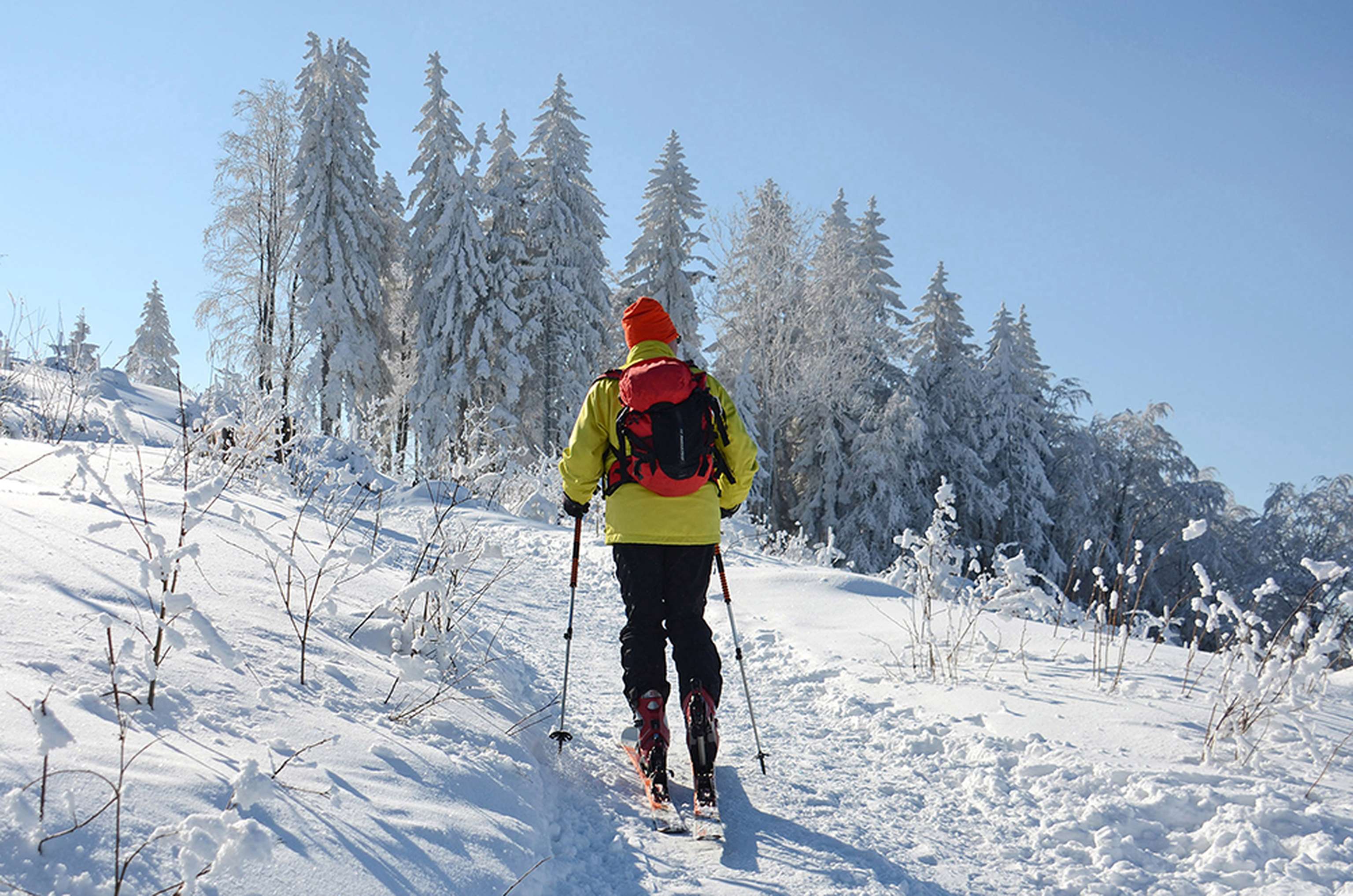 Winterwonderland Auf Dem Grünberg (Gmunden, Salzkammergut, Ober