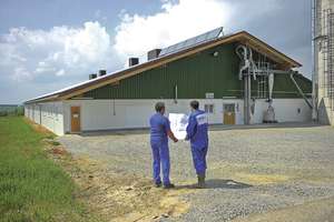 Bauplan Schweinestall
