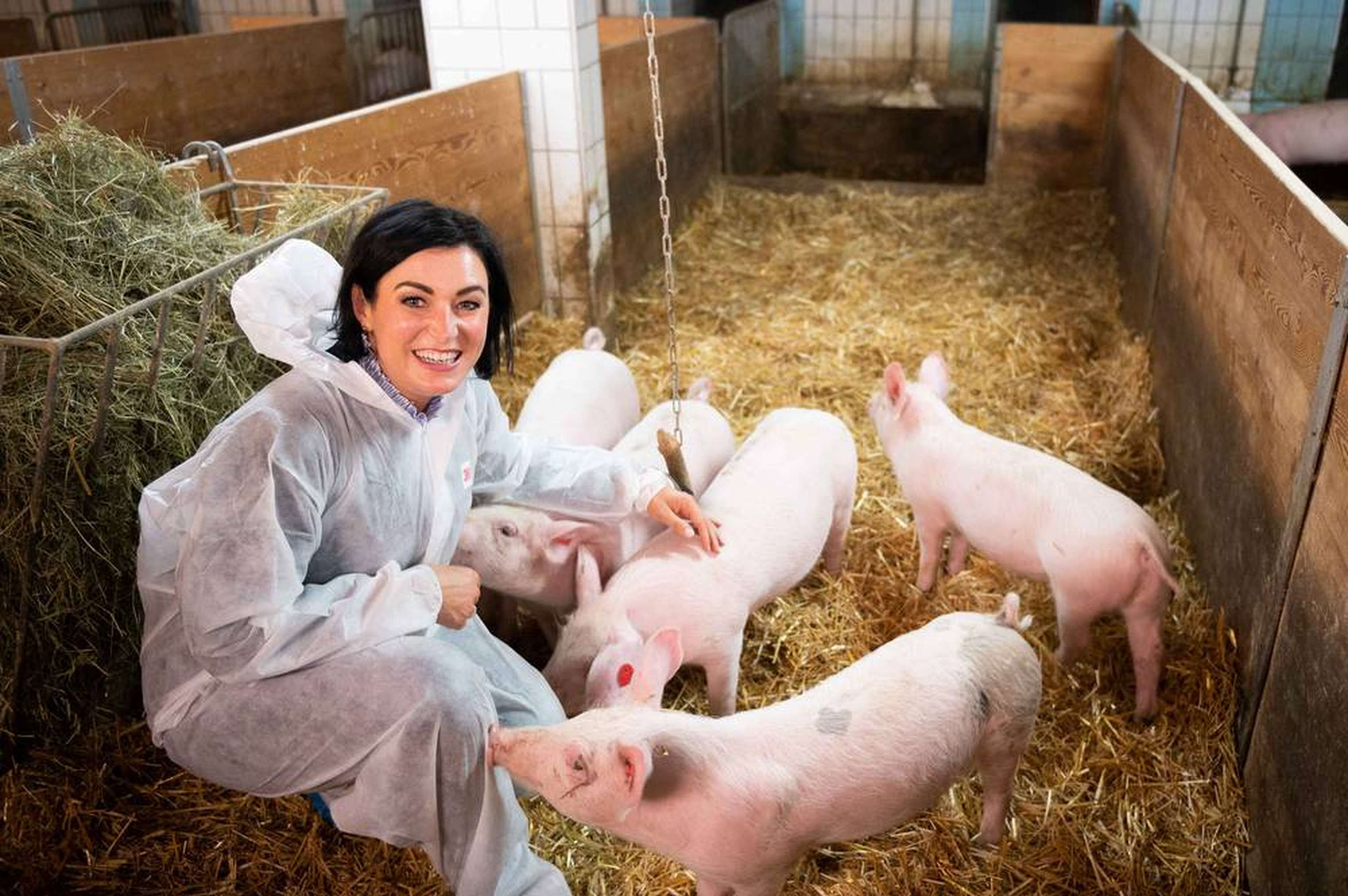 W210920 Stallfoto BMLRT