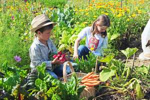 Kinder Ernten Im Garten