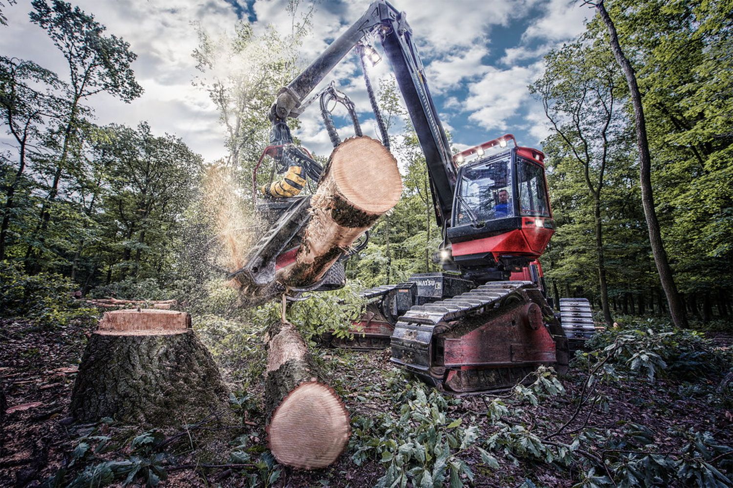 Waldtage