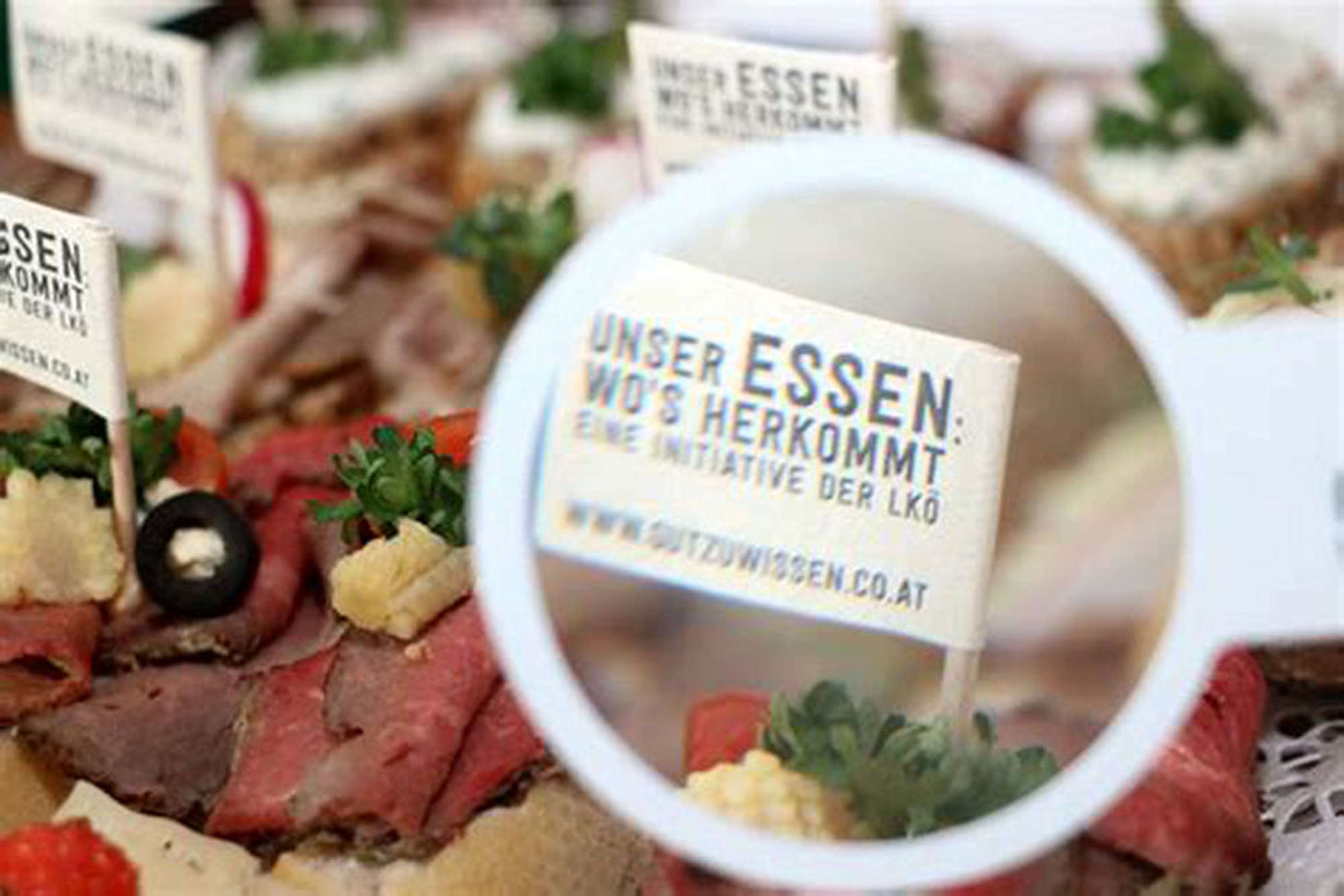 Gutzuwissen Lko