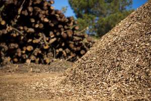 Biomass Background