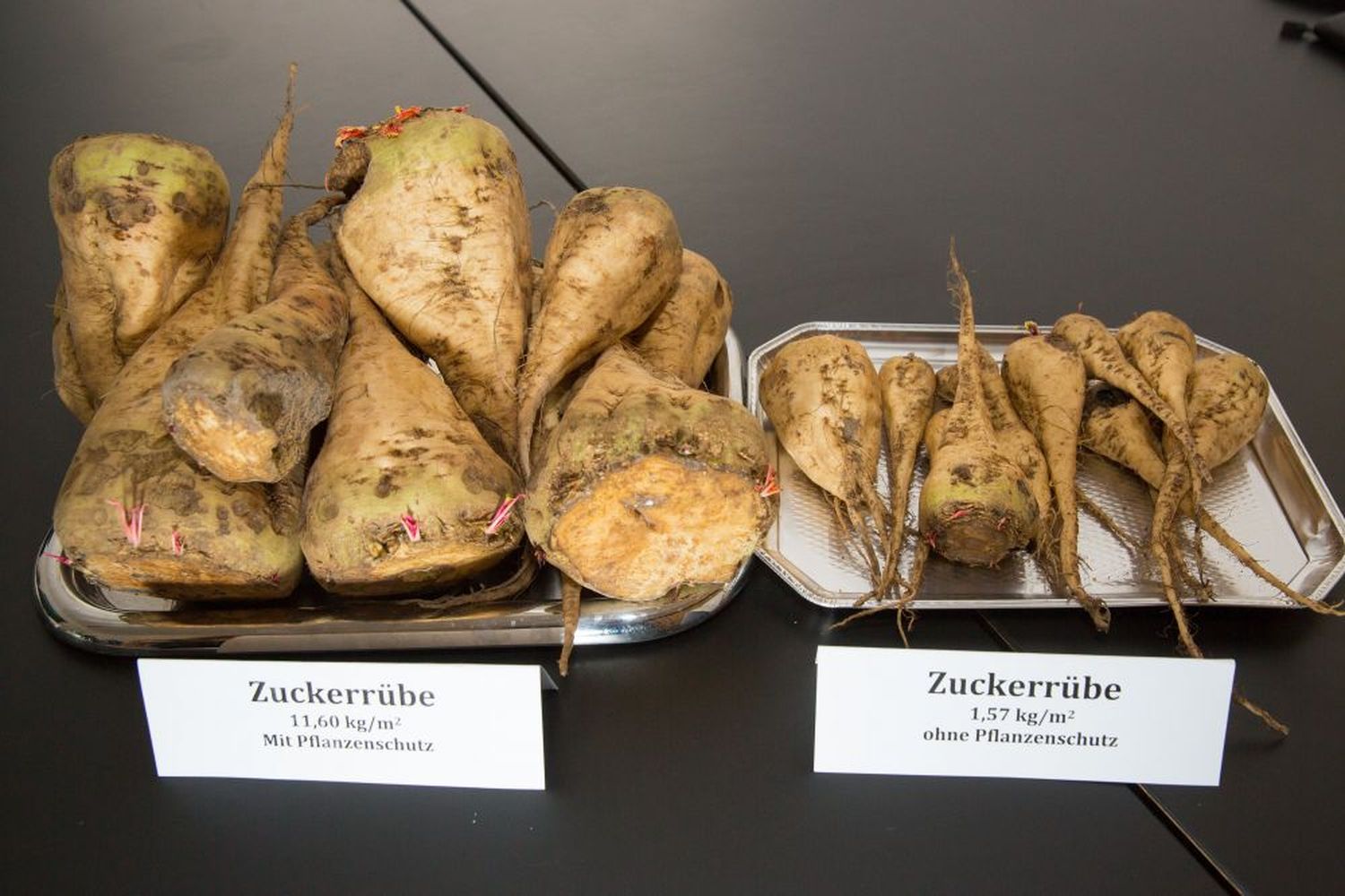 Wenn Betriebsmittel wegfallen, stoßen die Landwirte an ihre Grenzen.