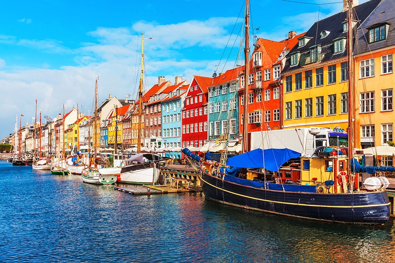Web FD Kopenhagen 264028625