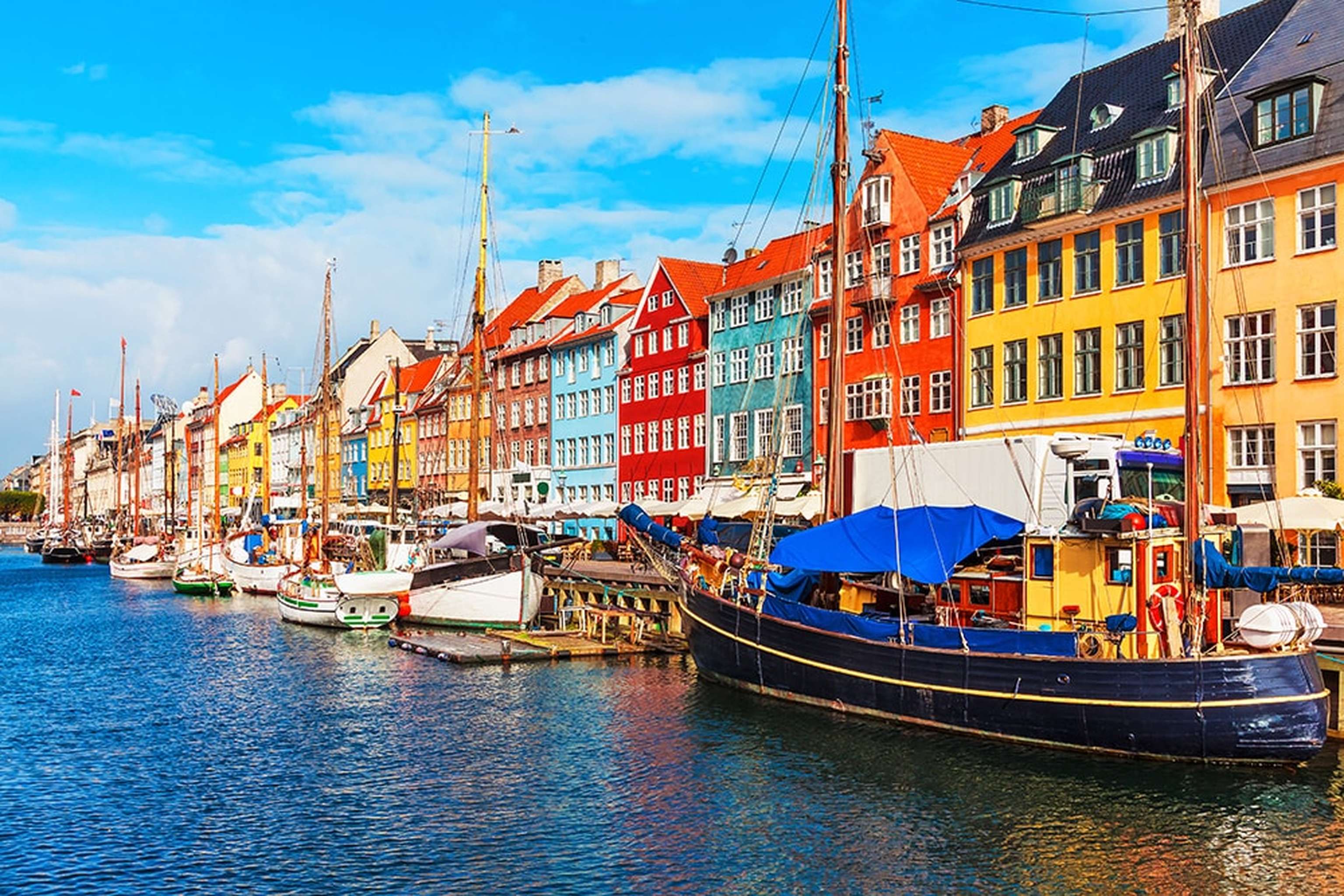 Web FD Kopenhagen 264028625