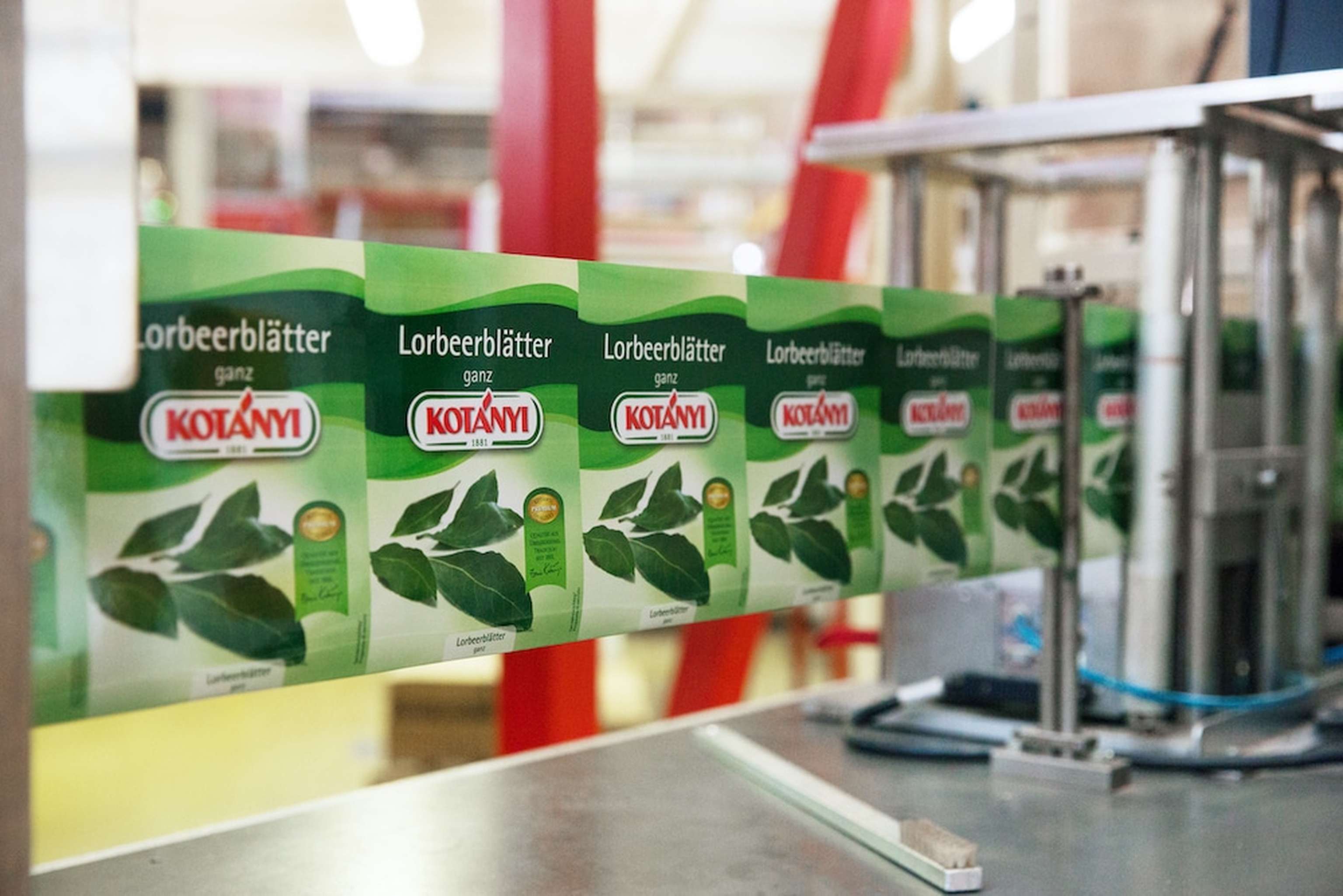 Kotányi Produktionslinie Für Briefverpackungen