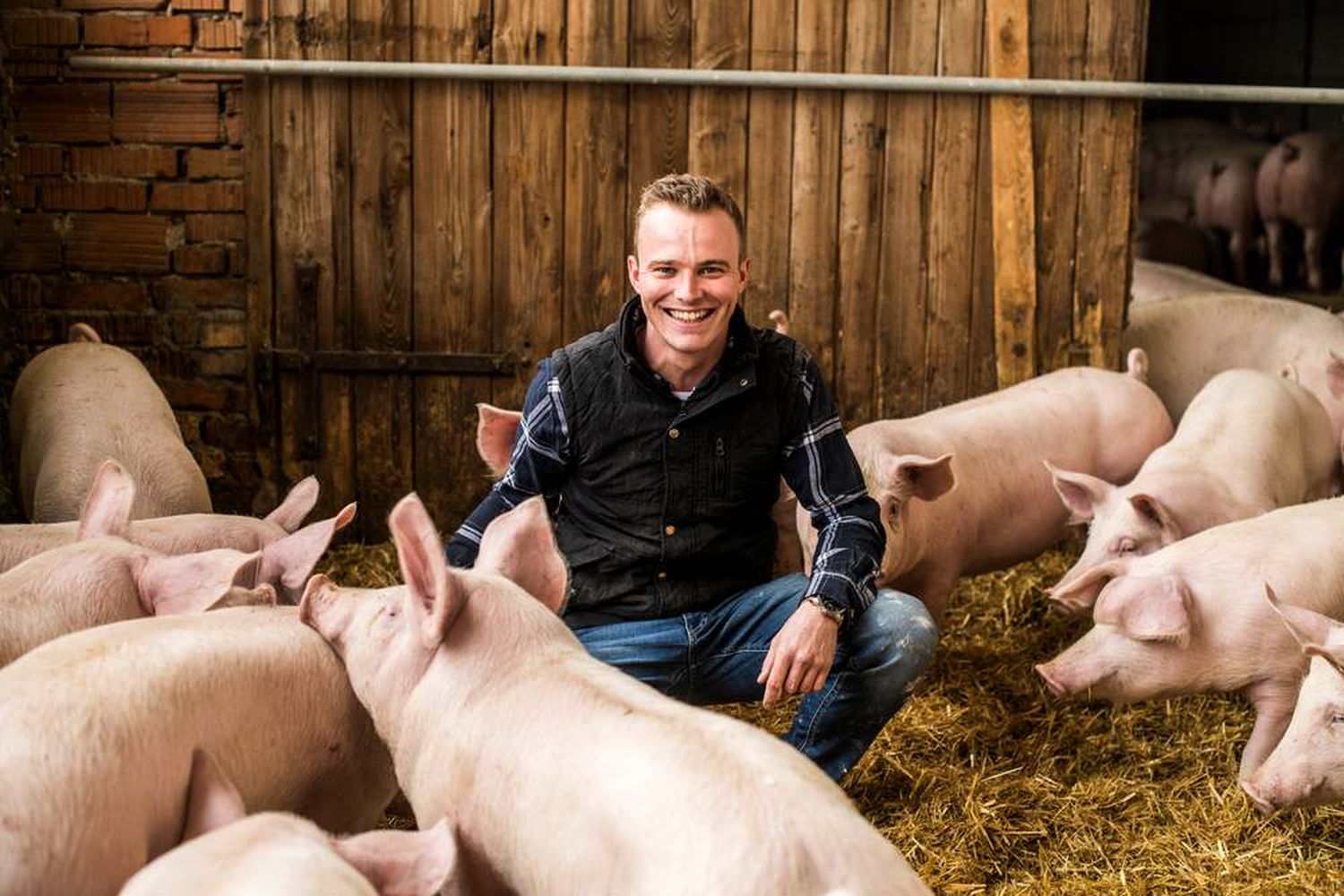 Am Hof der Familie Dirisamer gibt es für die gehaltenen Schweine viel Raum für Bewegung und Stroh um darin zu wühlen und sich auszuruhen.