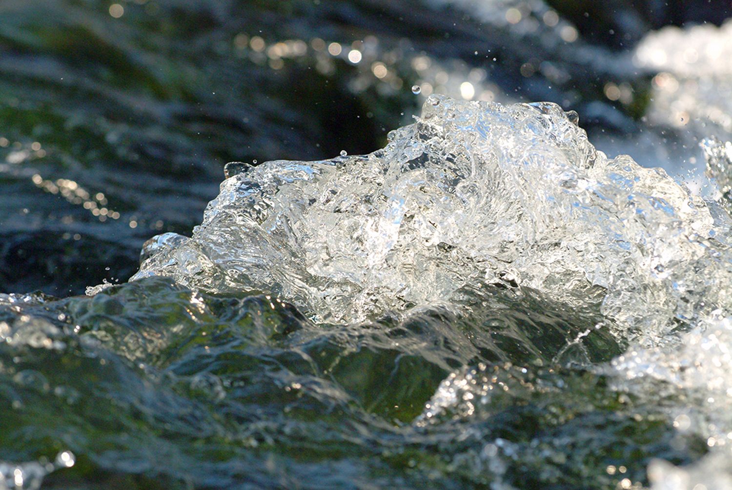 Web Wassergischt 3 ID21942