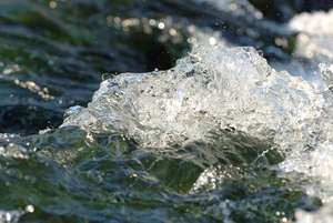 Web Wassergischt 3 ID21942