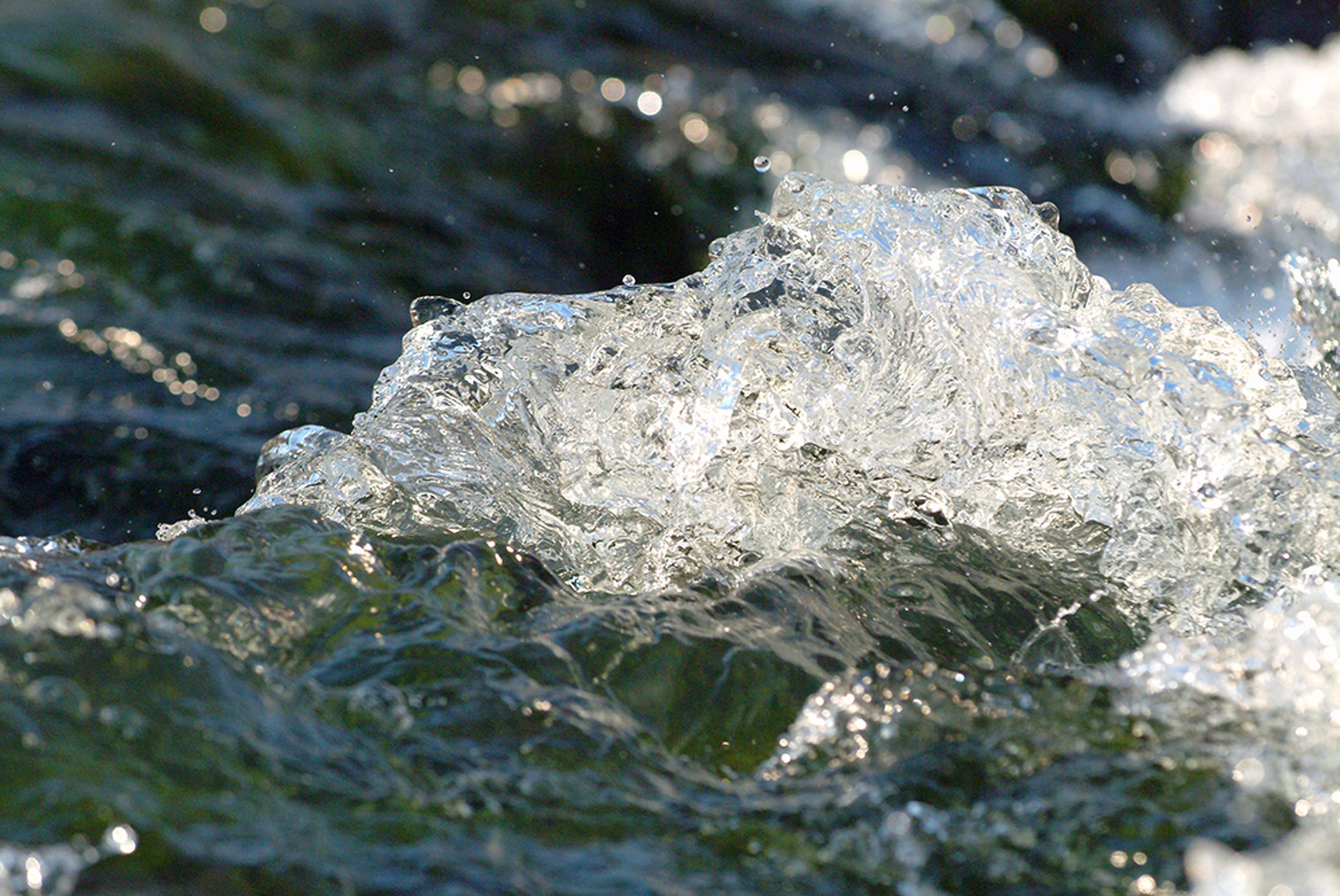 Web Wassergischt 3 ID21942