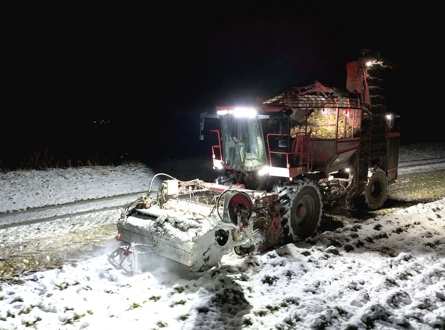 231204 W01 ZR Ernte Charlysteiner