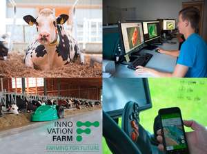200430 Web Innovation Farm