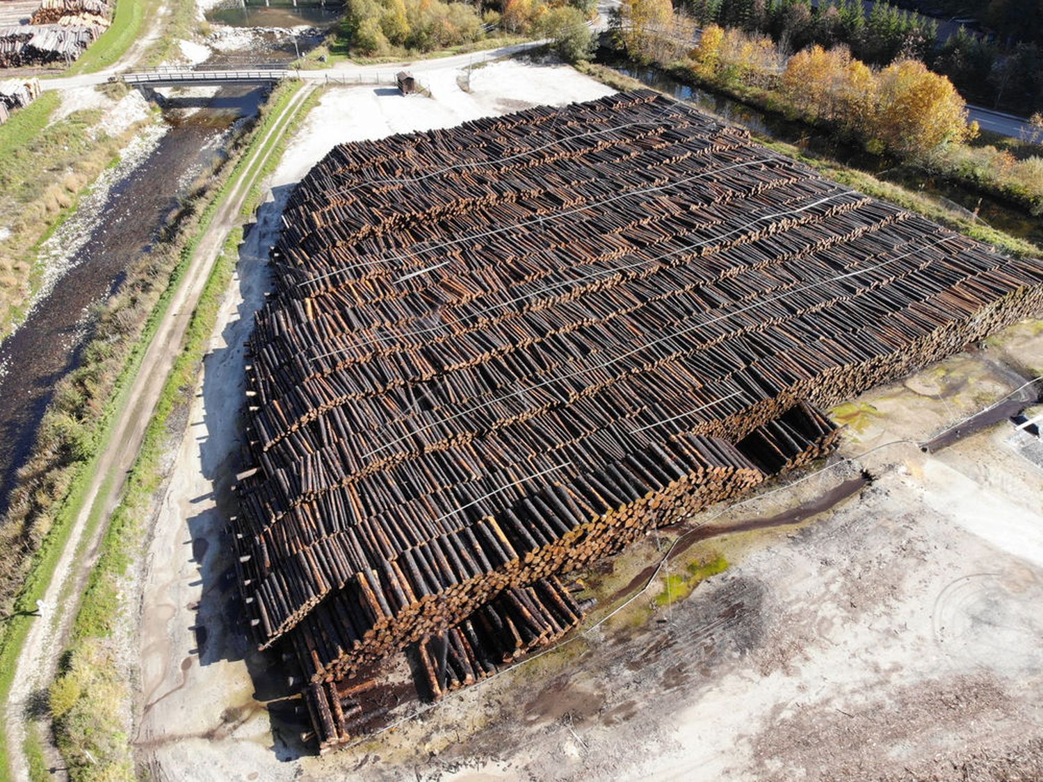 Nasslager in Gusswerk, Stmk. Ende 2019 hatten die ÖBf mit rund 450.000 fm einen sehr hohen Lagerstand. Dieser könnte heuer sogar noch steigen.