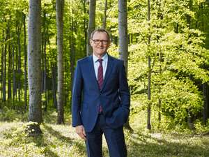 Freidhager Wald C Glassner