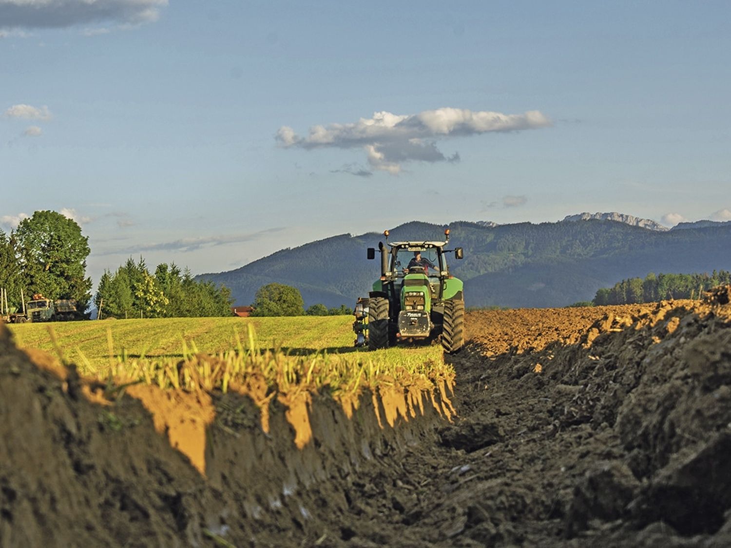 Landwirtschaftlich genutzte Böden sind die wichtigste Grundlage für die Ernährung – die Flächen nehmen jedoch weiter ab.