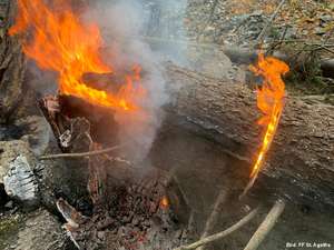 Waldbrand