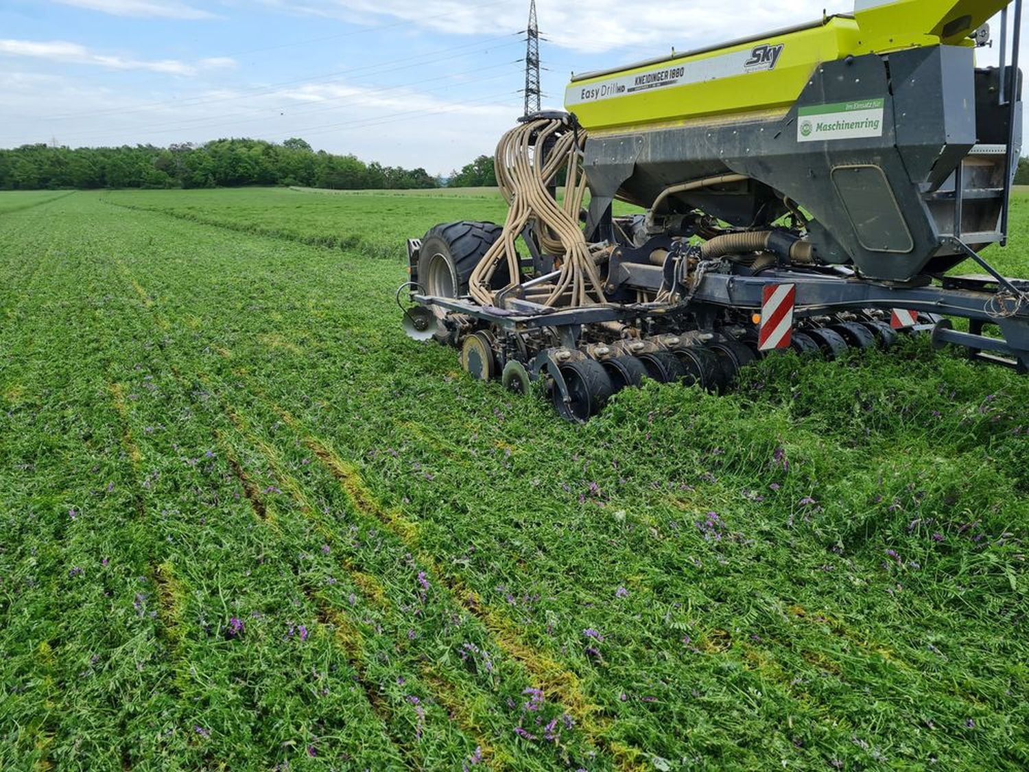 Moderne Direktsaat-Technik ermöglicht „planting green“ – hier wird Hanf in die vitale Begrünung gesät.