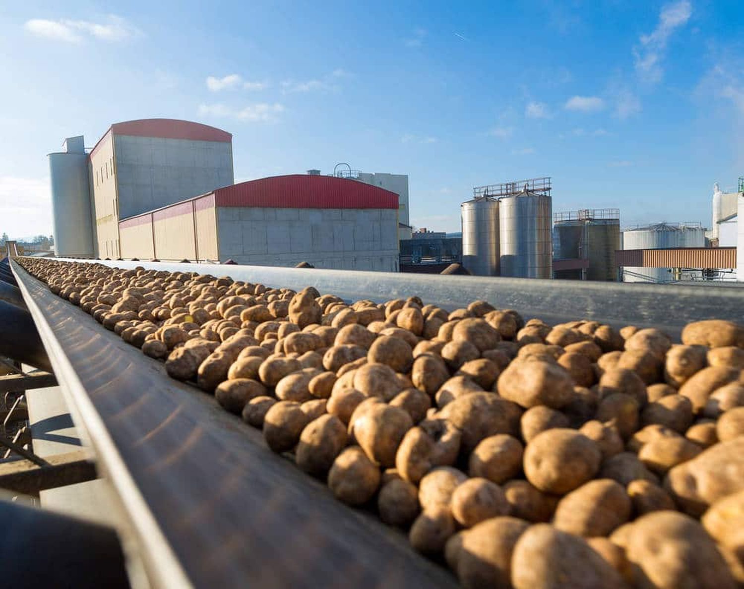 In Summe 322.000 Tonnen Stärkekartoffeln liefen in der vergangenen Kampagne durch die Reibemaschinen in der Agrana-Kartoffelstärkefabrik Gmünd.