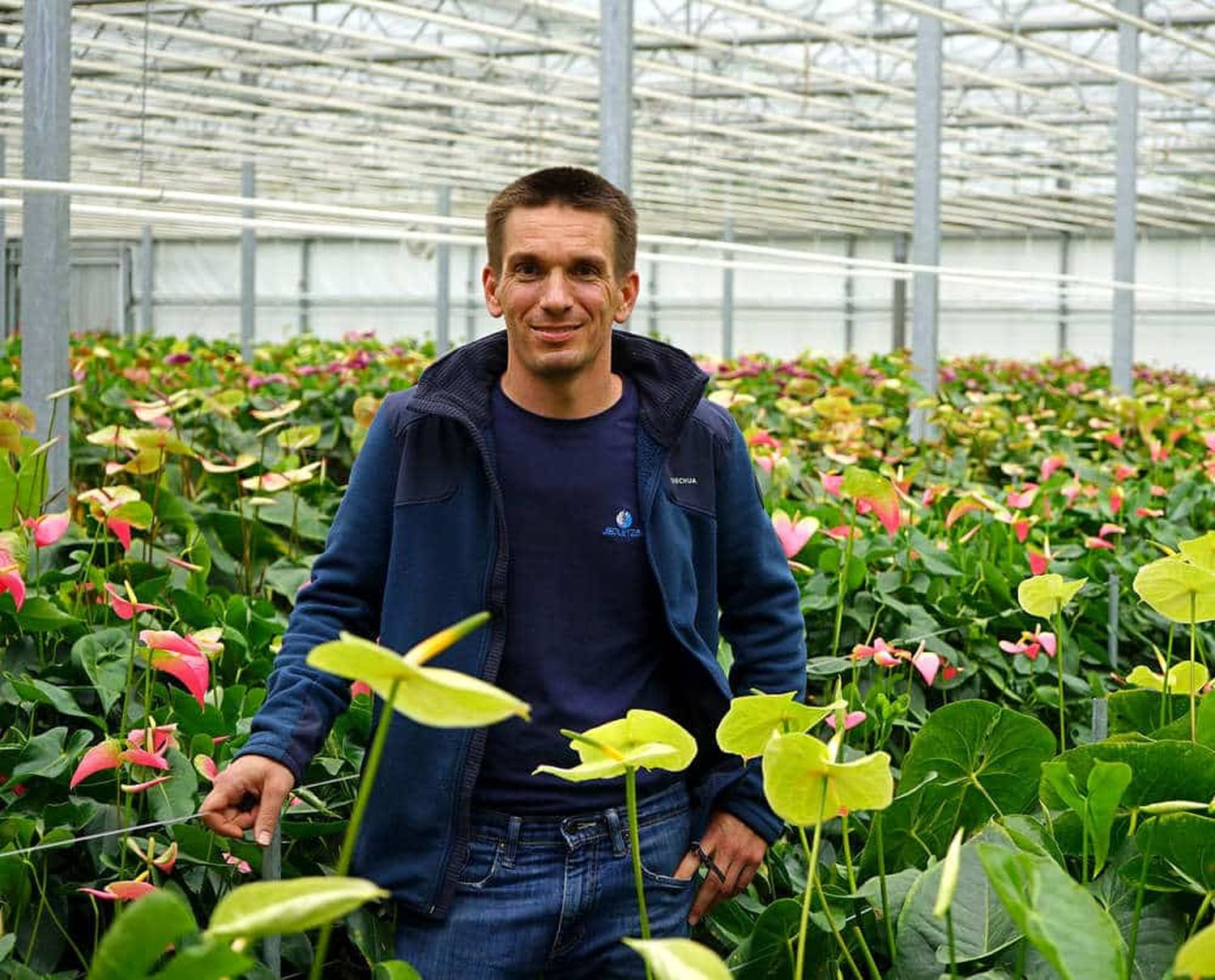 Werner Jedletzberger kultiviert 25 Sorten Anthurium. Vielfalt, Qualität und eigene Vermarktung sichern das Einkommen.