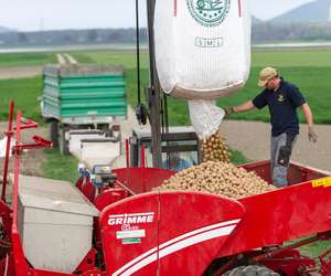 2341 W04 Kartoffel Saat