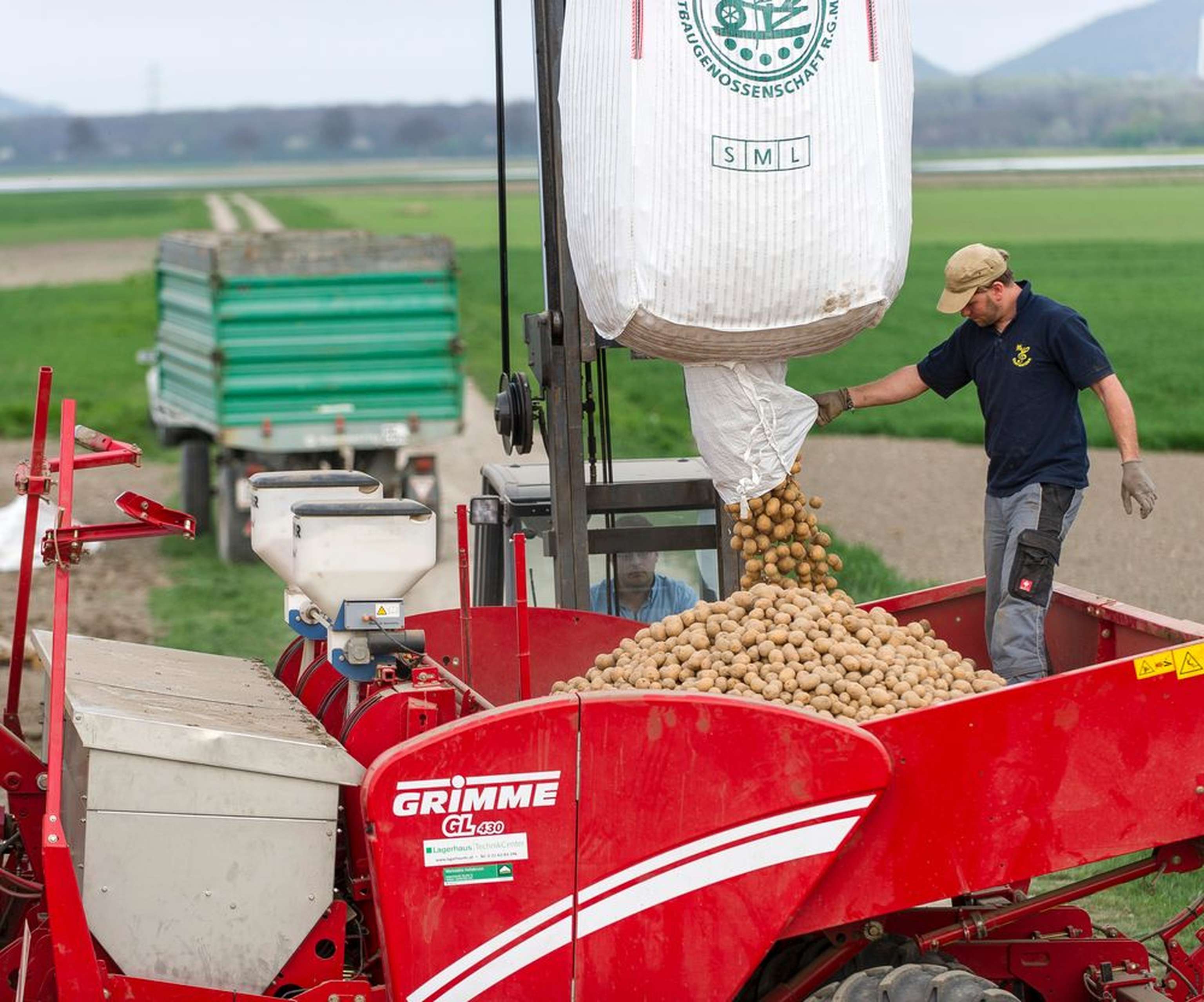 2341 W04 Kartoffel Saat