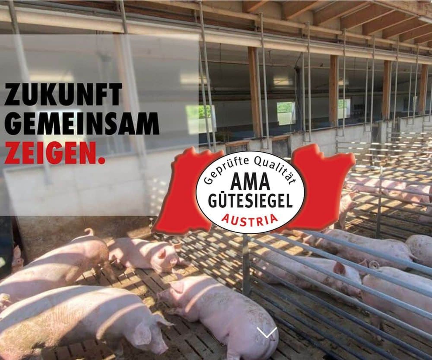 Mit www.haltung.at zeigt die AMA-Marketing “Landwirtschaft, wie sie wirklich ist”.