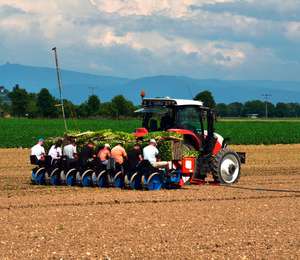 210308 AdobeStock Bill Ernest 246039791 Erntehilfe