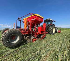 2419 W04 DirektsaatSoja