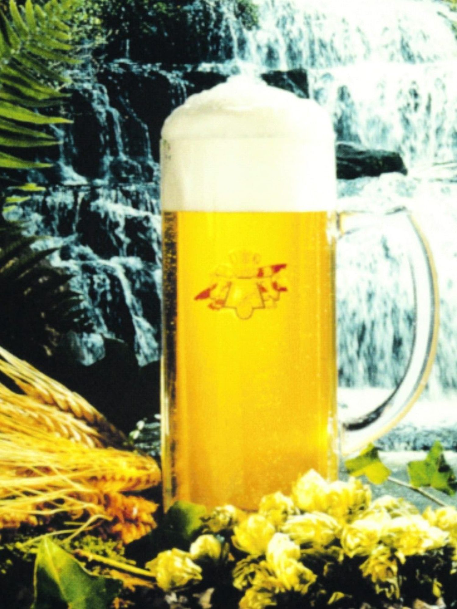 braugerste2-e1641379792650.jpg