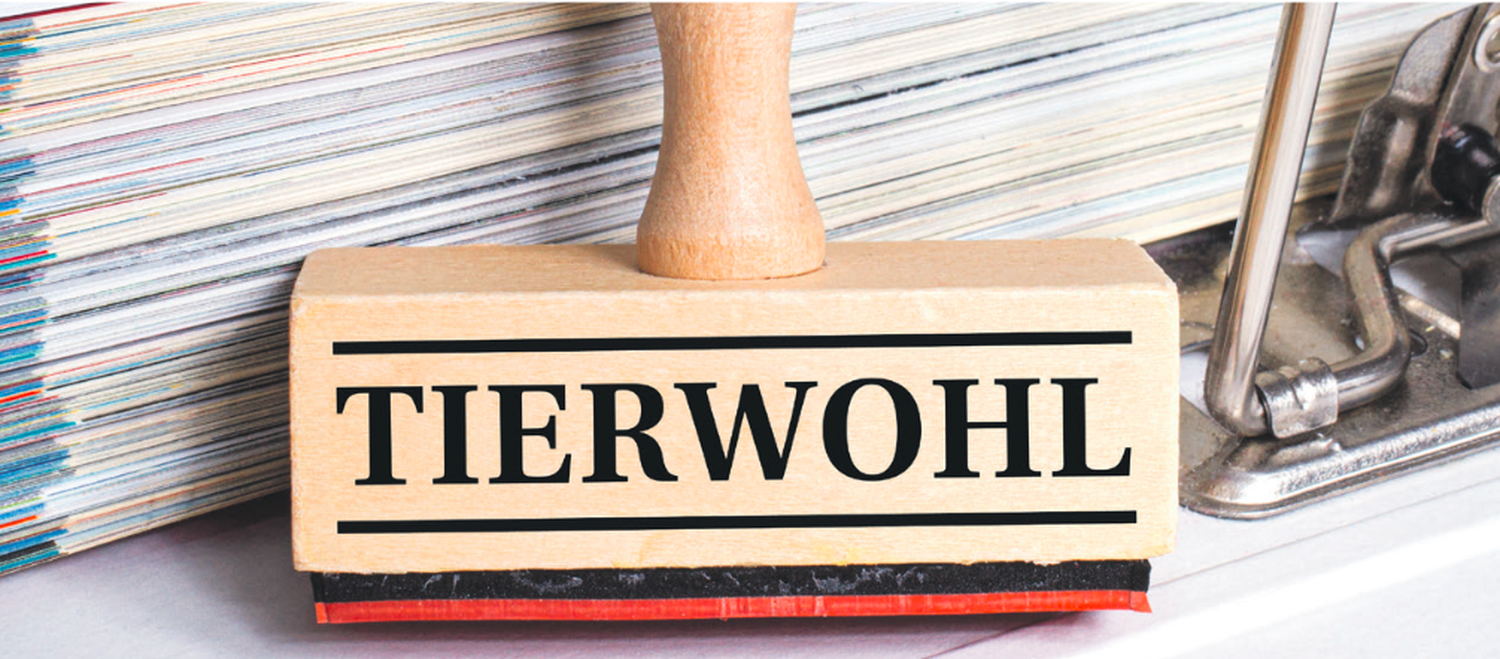 Tierwohl-Paket: Beschluss im Parlament