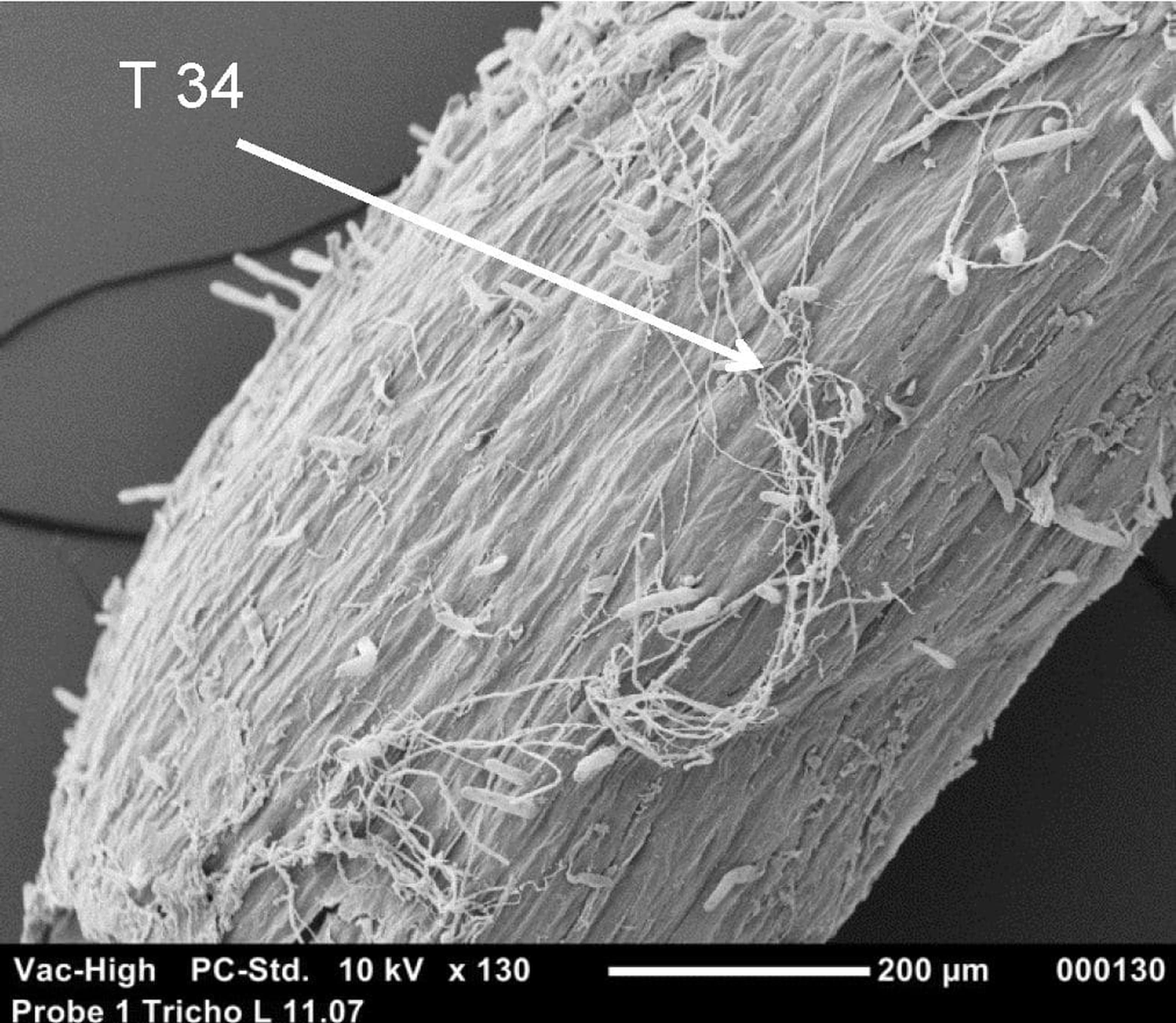 201123 Kwizda Agro Xilon 11