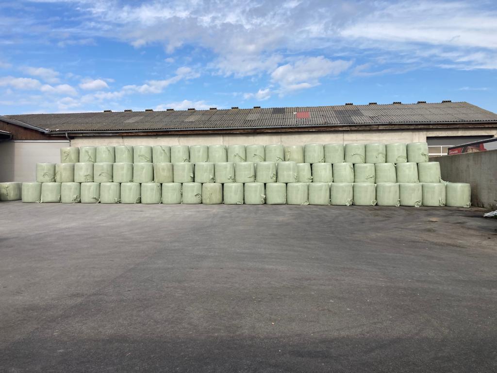 Bild von Anzeige: Maissilageballen Ernte 2026